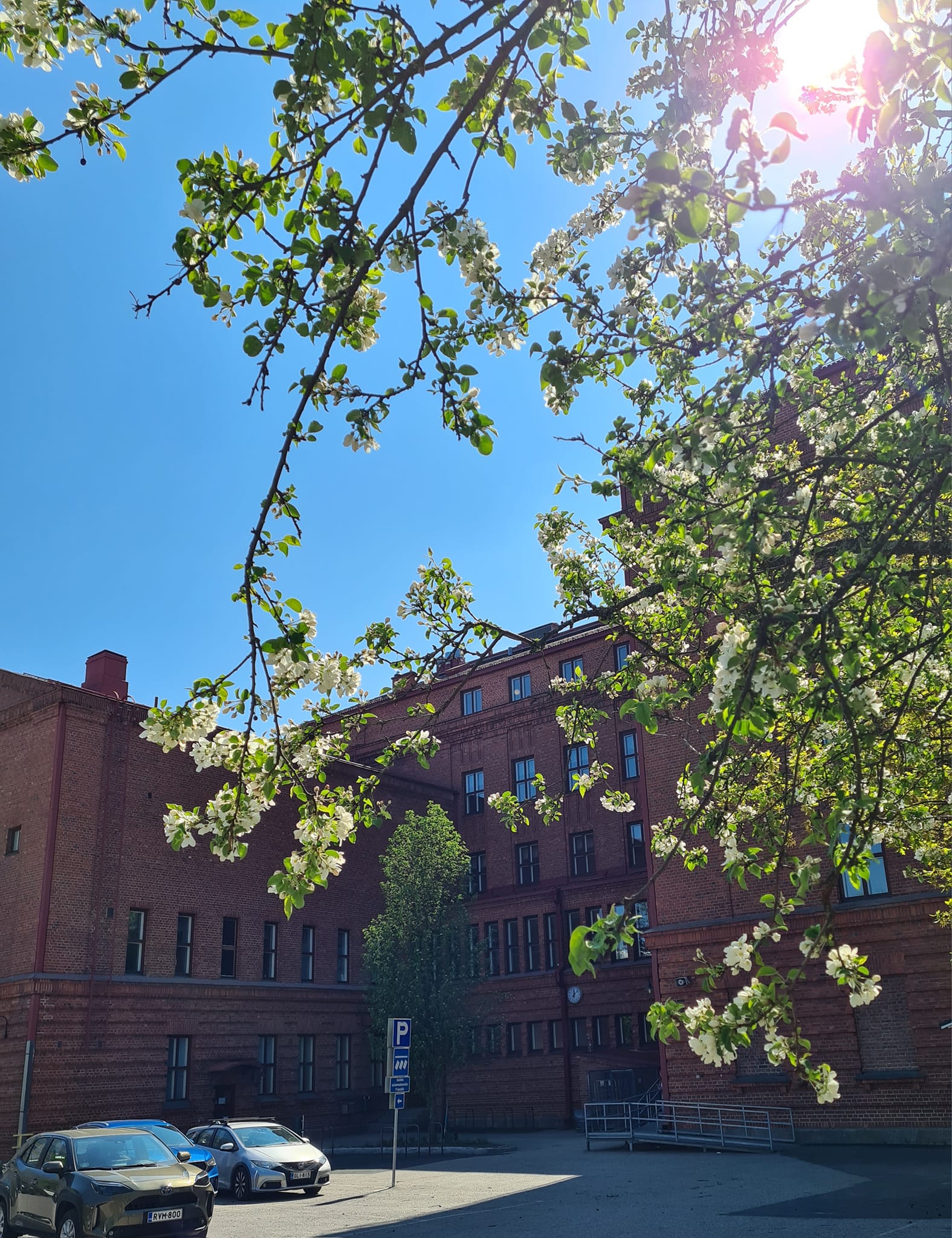 Kanslia auki kesäkuussa 1.6. – 20.6.