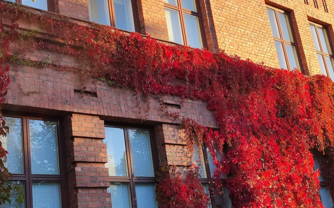 Ensimmäisen vuoden huoltajienilta 28.10.2025